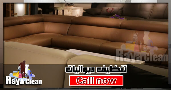 تنظيف ديوانية